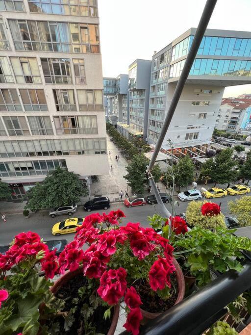 Mimosa'S Apartment With Lovely Balcony Tiranë Ngoại thất bức ảnh